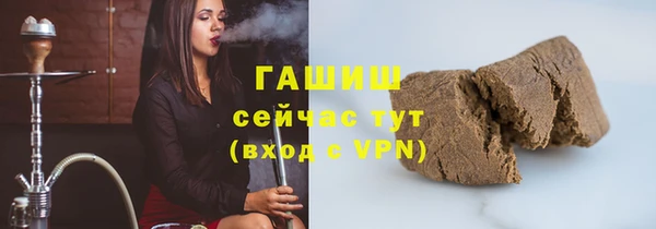 крисы Армянск